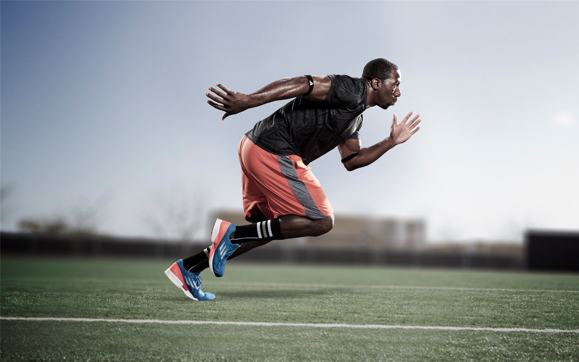 赛车之心，范弗利特在焦点战证明唯一性