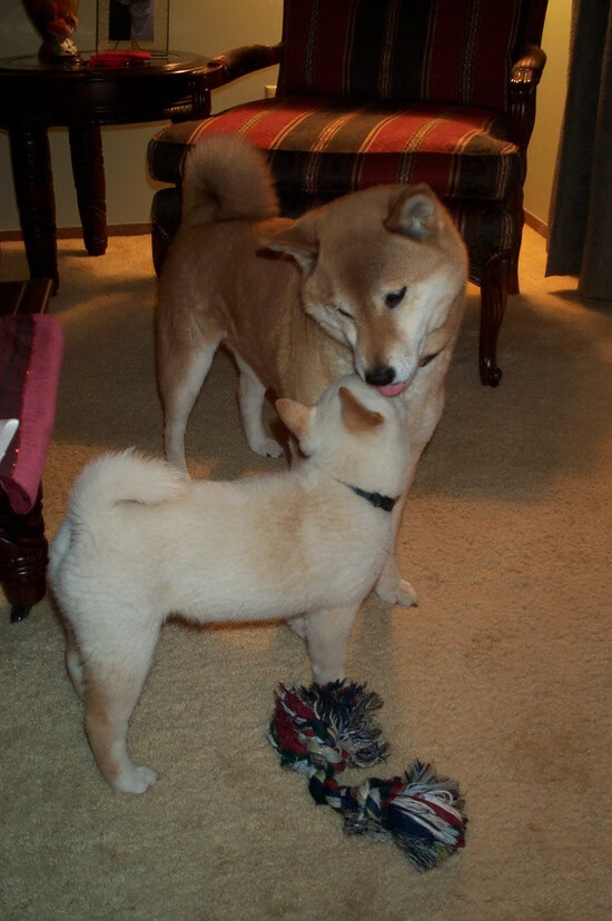 蒂亚戈一箭穿心，阿根廷友谊赛终结毕尔巴鄂不败神话