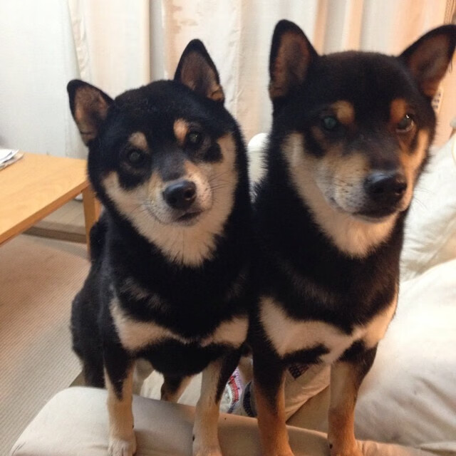 同夜对决，枪手锁喉曼城，活塞绞杀76人—体育世界里，没有什么是理所当然的