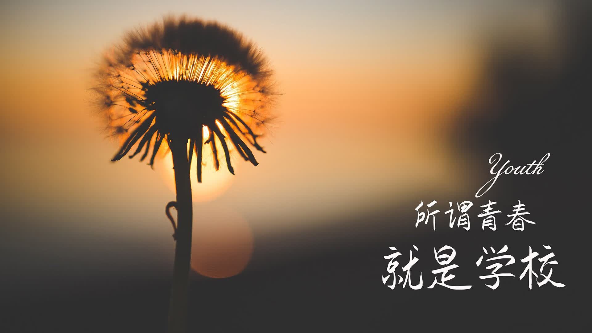 （三选一，供你选择最佳）