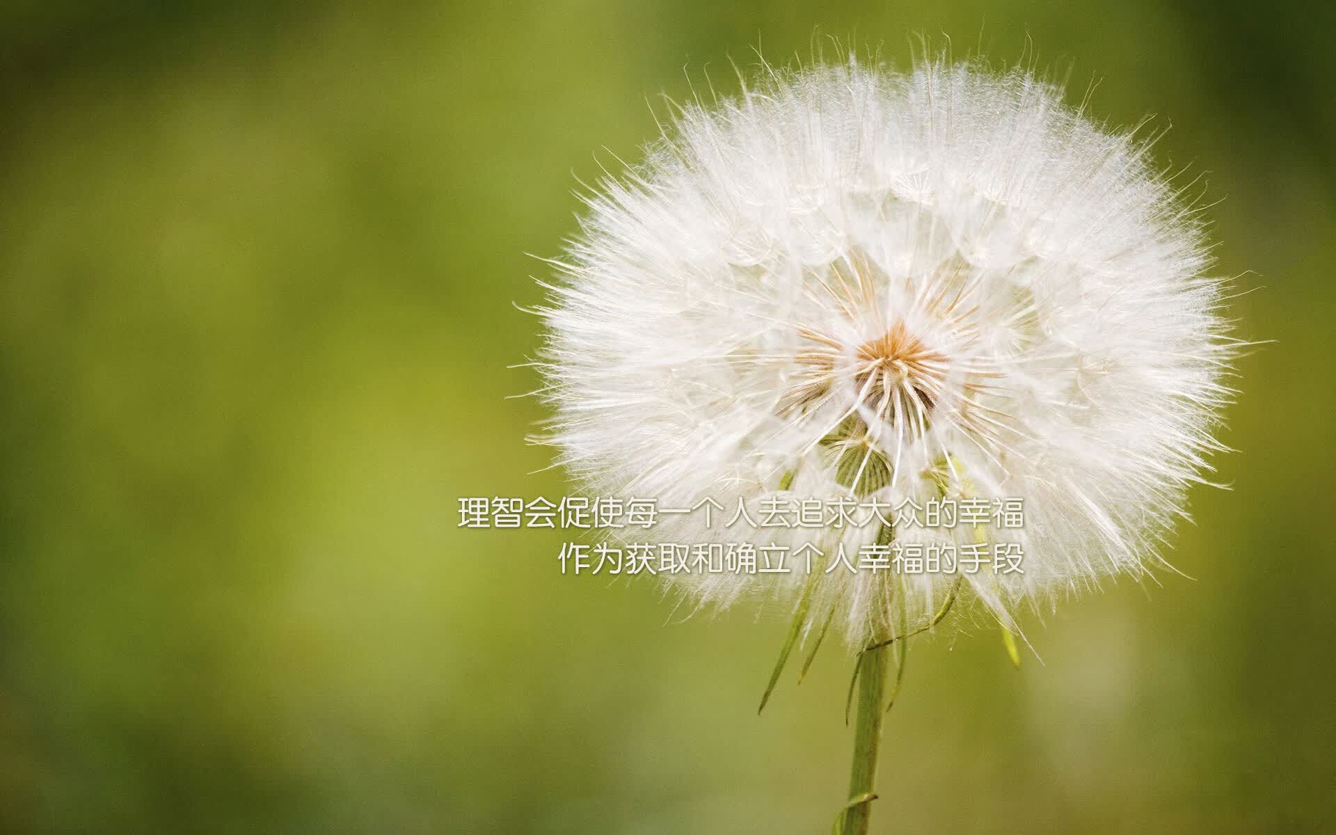 蓝衣军团的复仇之夜，2026世界杯H组焦点战，比利时用防守反击撕碎高卢雄鸡，梅西以另一种方式主宰比赛